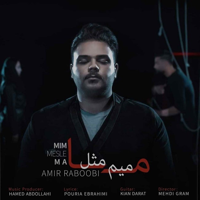 دانلود آهنگ میم مثل ما